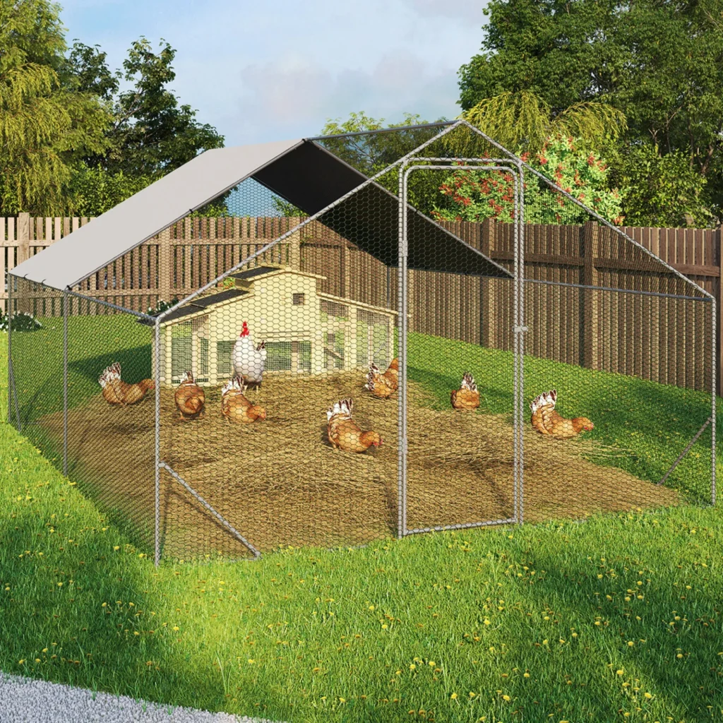 Eau restante de la poule : explication des termes et du raisonnement